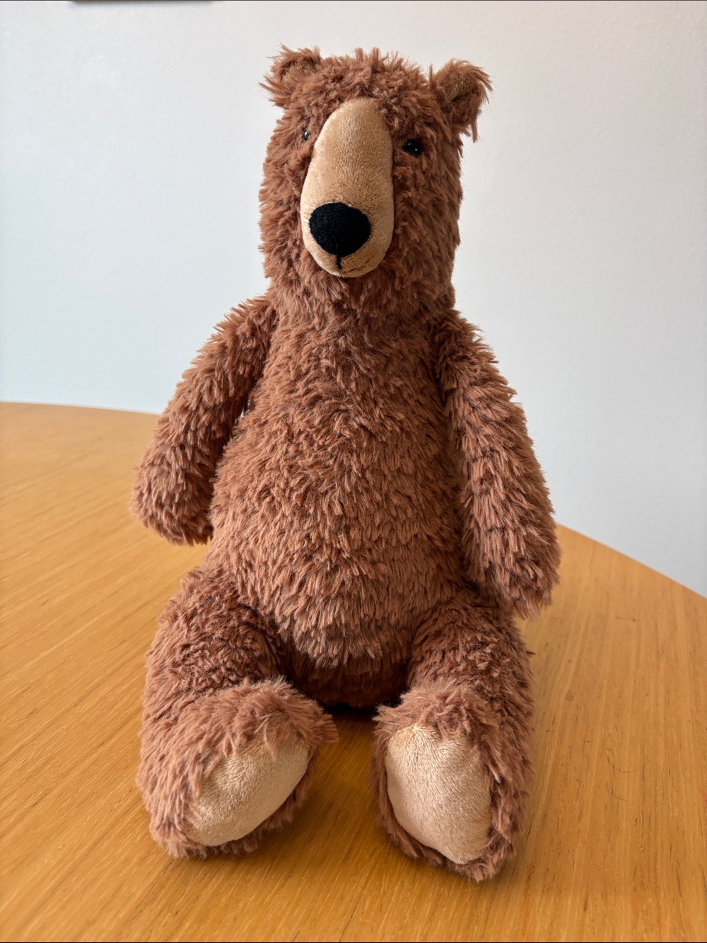 Jellycat ENZO BEAR Retired